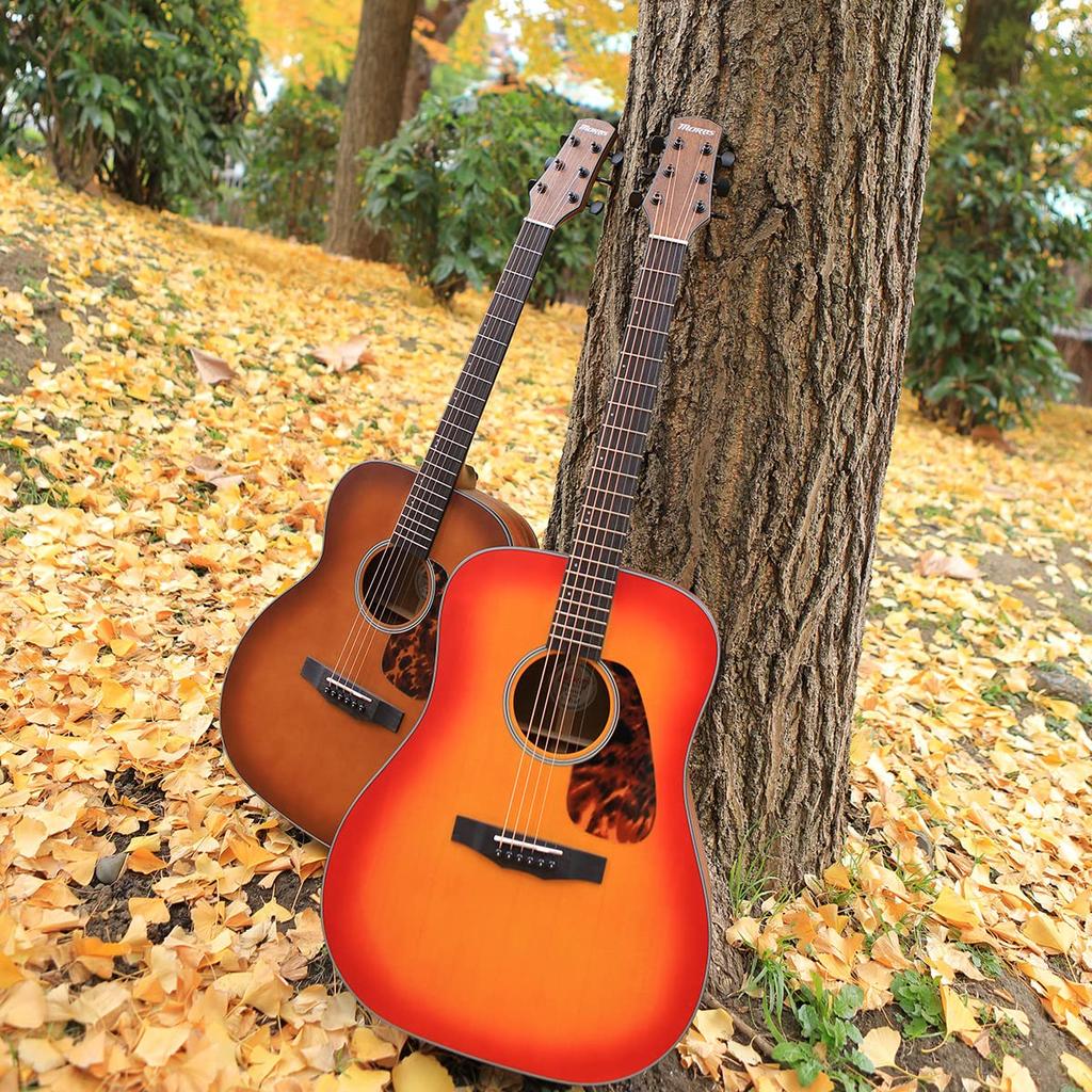 Morris Perfomers Edition CS Acoustic Guitar Cherry Sunburst Matte Matte Painting M-021