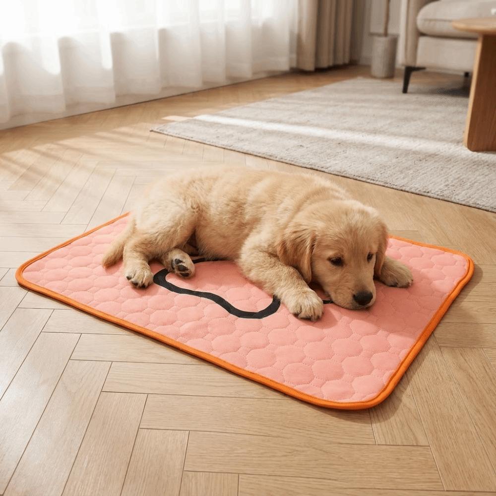 Washable Dog Pee Pad Reusable Dog Urine Pads Dog Pee Pad Blanket Pet Bed Urine Mat Crate Training