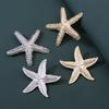 Retro French Alloy Starfish Brooch European and American Light Luxury Simple Gold Textured Ocean Series Corsage 2026