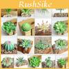 Flower Artificial Succulent Floral Mini Fake Diy Faux Plant Foliage Garden Decor