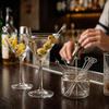 I-MART 15 Pack Stainless Steel Cocktail Picks Martini Olive Skewers, Reble Metal Garnish Sticks for Drinks, Appetizers, Bloody Mary, Olives, Citrus,