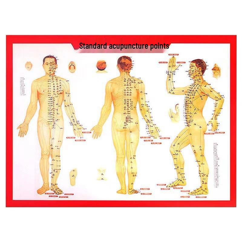 Moxibustion Stick and Smokeless Box Set - Portable Heat Therapy with Paper Tube Design