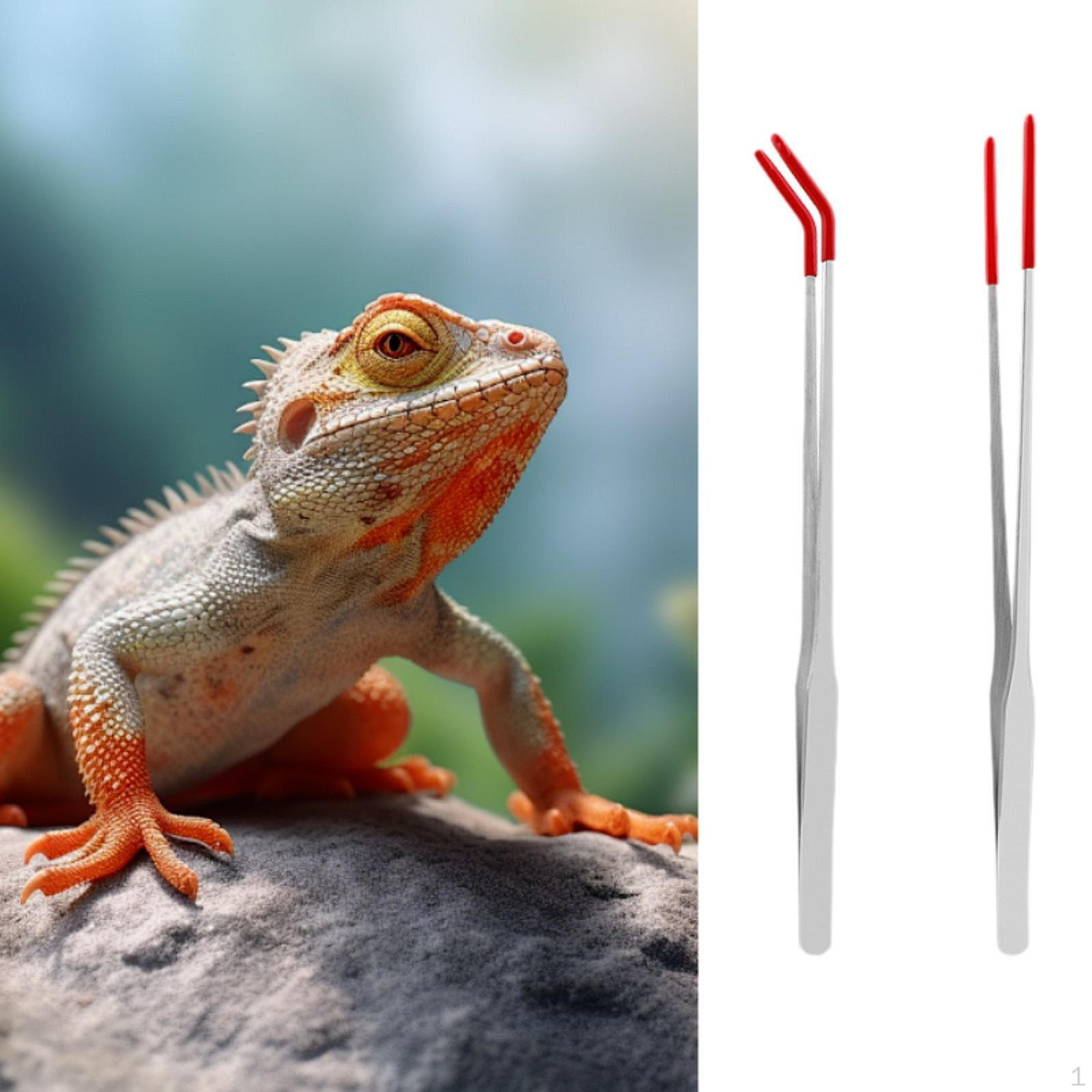 

2 шт. Аквариумный пинцет Aquascaping Щипцы для кормления рептилий для аквариума