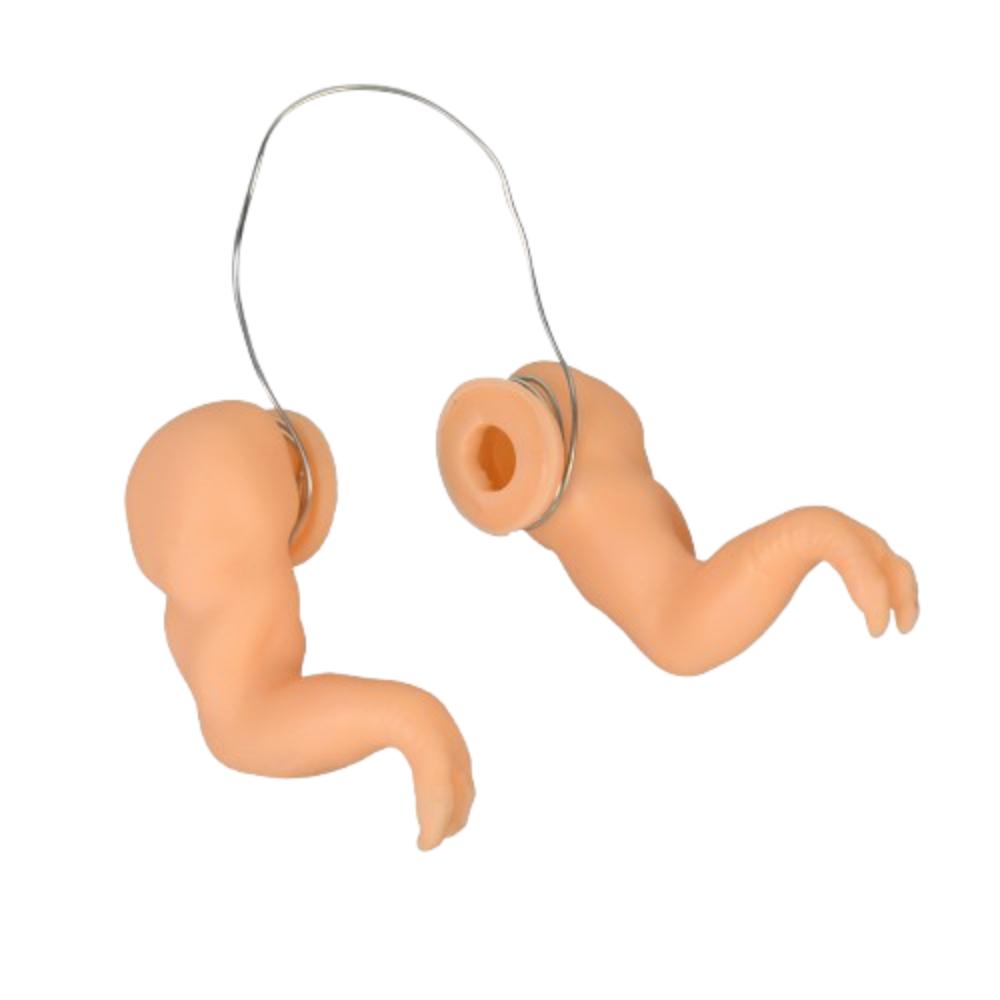 

Руки Халка в мускулистых руках Смешная игрушка-передняя конечность курицы Украшение руки курицы Тематическая вечеринка для питомцев Style 6