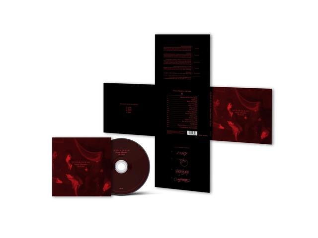 

[CD] Danse Macabre: De Luxe with Bonus Tracks Duran Duran 6408303 Rock Album NEW