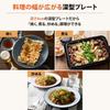 Zojirushi Hot Plate STAN. 1 Piece Type Deep Plate Black EA-FA10-BA