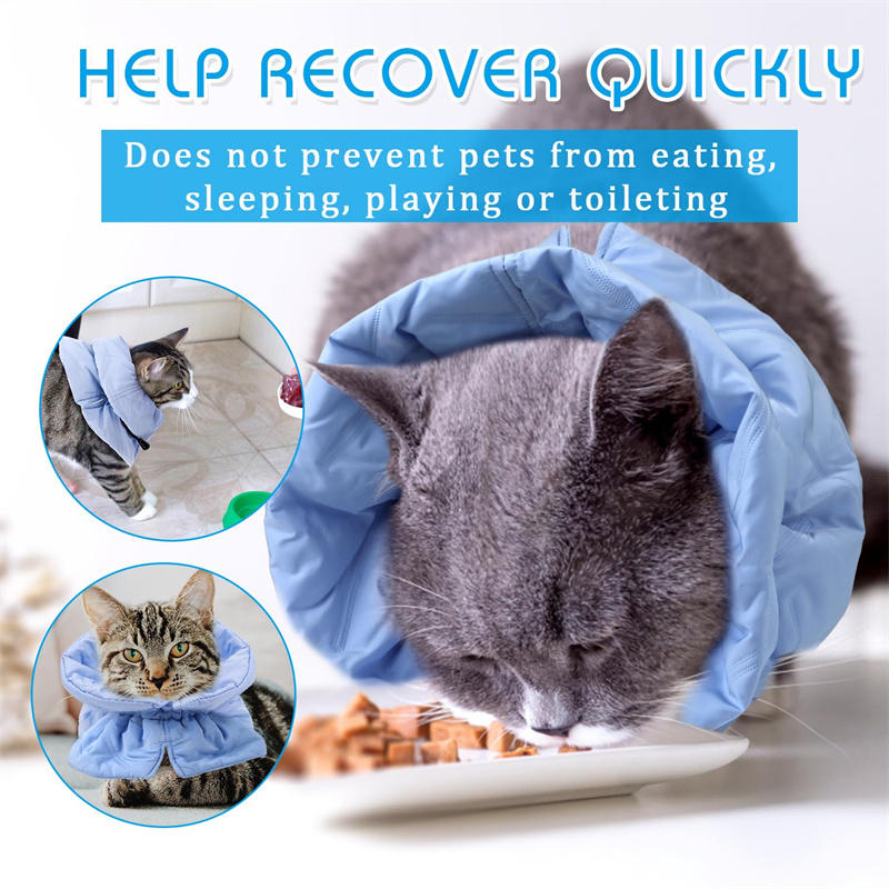 Katze Blume Elizabeth Baumwolle Hals Haustierhalsband Verstellbar Beißschutz Operation Niedlich Solarblume Halskegel Schönheits Kopfbedeckung