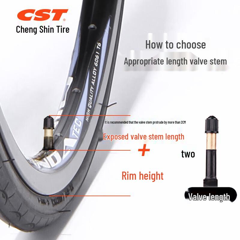 CST Bicycle Inner Tube