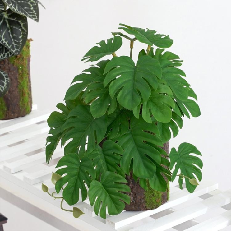 Artificial Amphibian Plants Terrarium Leaves Habitat Decor for Iguana for Turtle