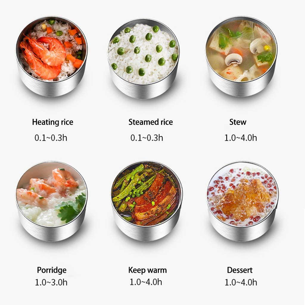 T02C!Electric Lunch Box,Mini Rice Cooker,Portable Cooking Steaming Lunch Box For Home Office School Cook Raw Food,US Plug