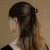EN010 Glitter Mini Hair Clip (Ivory, Black)