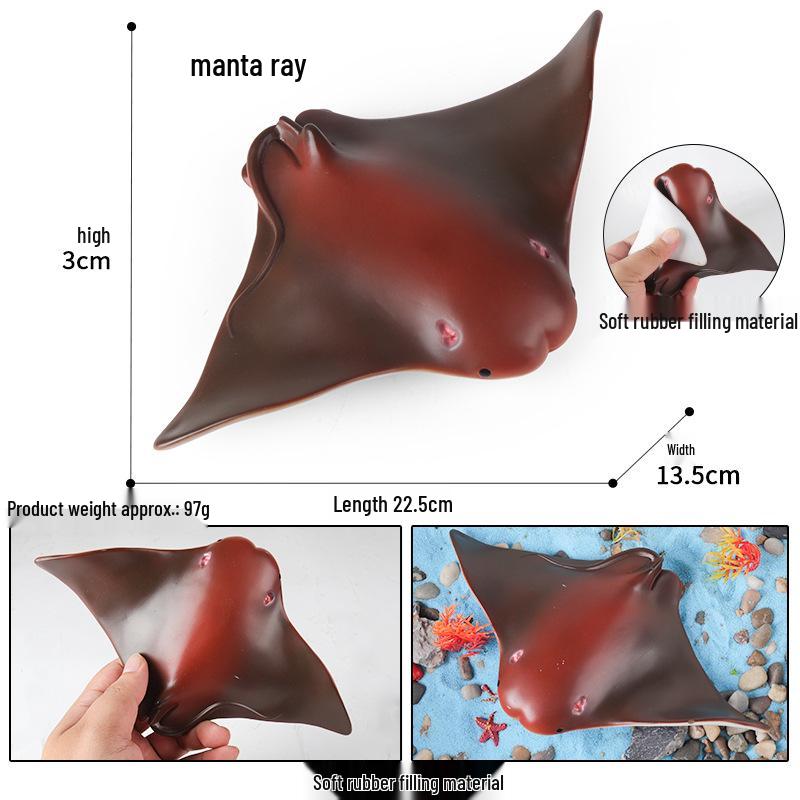 Marine Animal Simulation Models: Jellyfish, Octopus, Sea Shrimp, Sea Anemone, Squid, Horseshoe Crab, Crayfish, Arrowhead