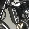 Z900RS 2018-2020 Kühler Seitenverkleidung Links und Rechts Satz z900rs