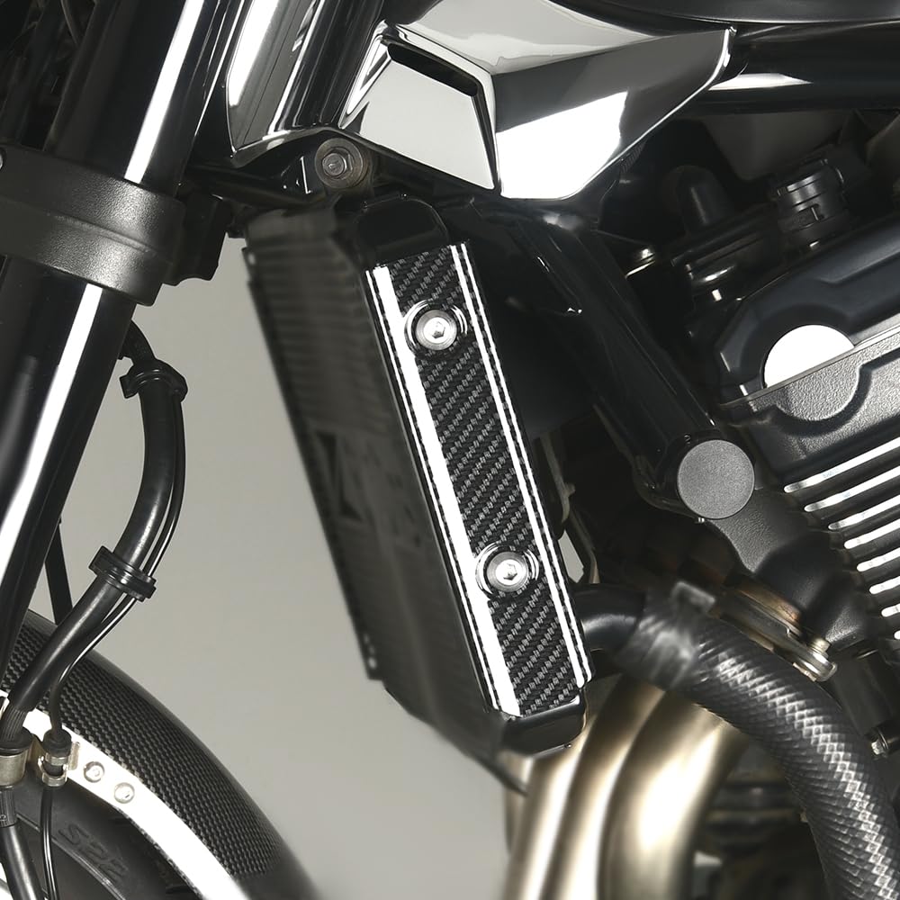 Z900RS 2018-2020 Kühler Seitenverkleidung Links und Rechts Satz z900rs