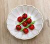 New Tableware 17cm Shallow Bowls Set of 10 [Commercial Set] Food-Enhancing Series (Titanium White) -
