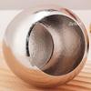 Silver Seasoning Jar,Pure Titanium With Lid and Spoon Spice Container Salt Organizer,Coffee Beans Storage Jar,Kitchen Tools