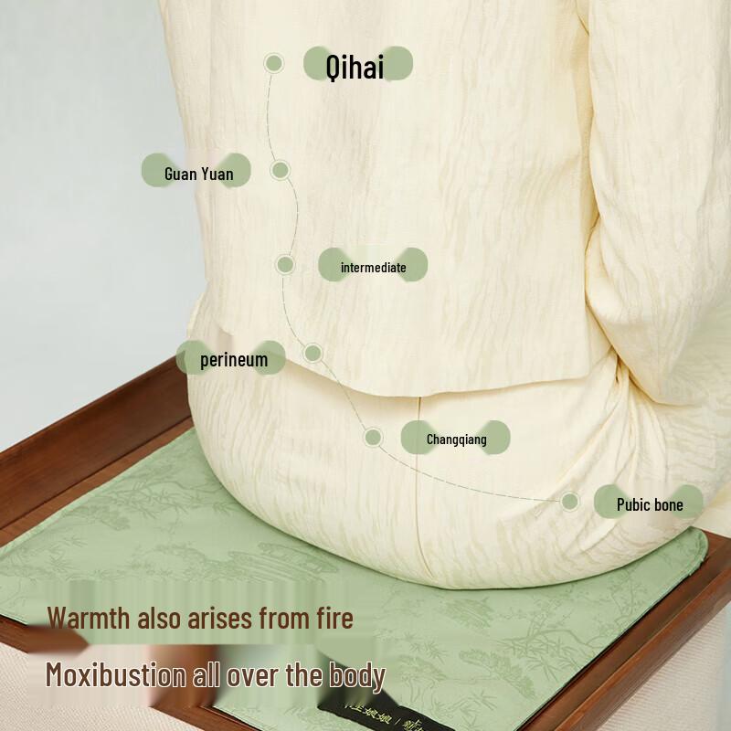 Zuodian Health Empress Moxibustion Heat Therapy Cushion, Palace Museum Style