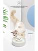 Ciotola Dispenser d'Acqua in Ceramica per Gatto e Cane con Fontana a Circolazione Automatica