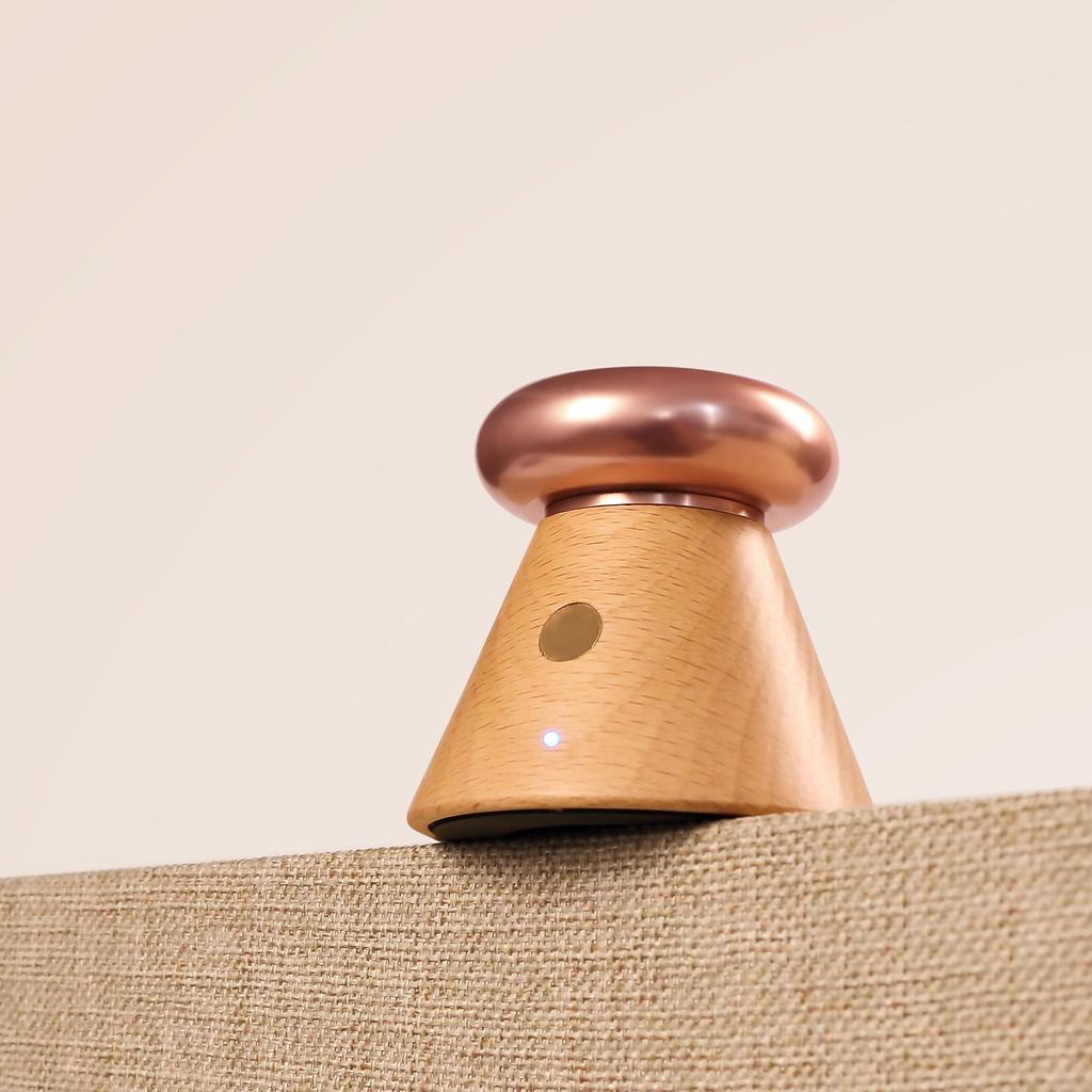 Solid Wood Temperature-Controlled Aromatherapy Diffuser