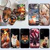 RE31 Fox Cute New High-End Shell Phone Case for Xiaomi Poco F8 M4 M5 M6 M7 X3 X6 X7 Pro GT NFC Ultra