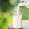 PET Plastic Transparent Milk Bottles 10pcs Juice Beverage Containers Disposable Water Jars for Sub Drinks