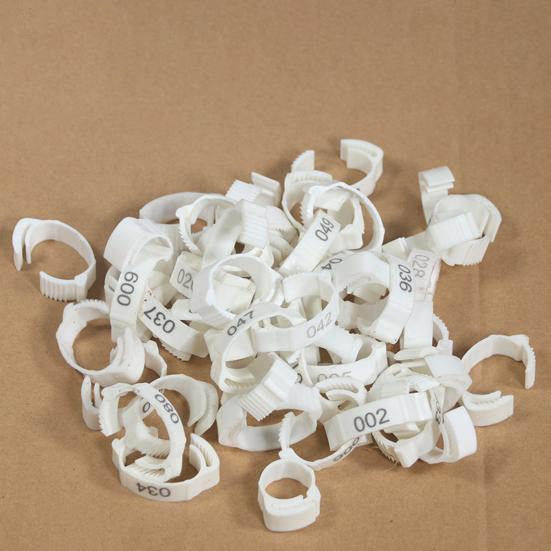 Yousheng 100Pcs Chicken Ring Adjustable Buckle Design Easy-assembled Duck Chicken Foot Ring for Marking