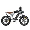 Electric Bike - JANSNO - X70M - 20 Inches - 750W Motor - Dual 48V Battery - 80km Range - Max Speed 45km/h