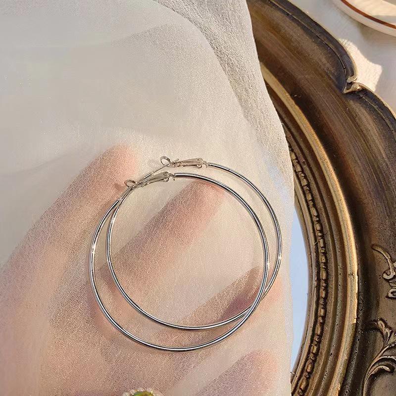 Women's High-End Plain Hoop Earrings: Light Luxury Ear Drops & Studs, Niche Design for Autumn/Winter.