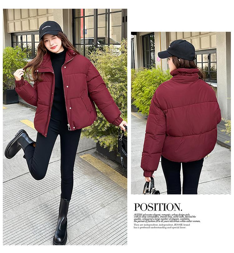 Jachetă de iarnă groasă, călduroasă, de damă, casual, scurtă, cu guler înalt, rezistentă la vânt