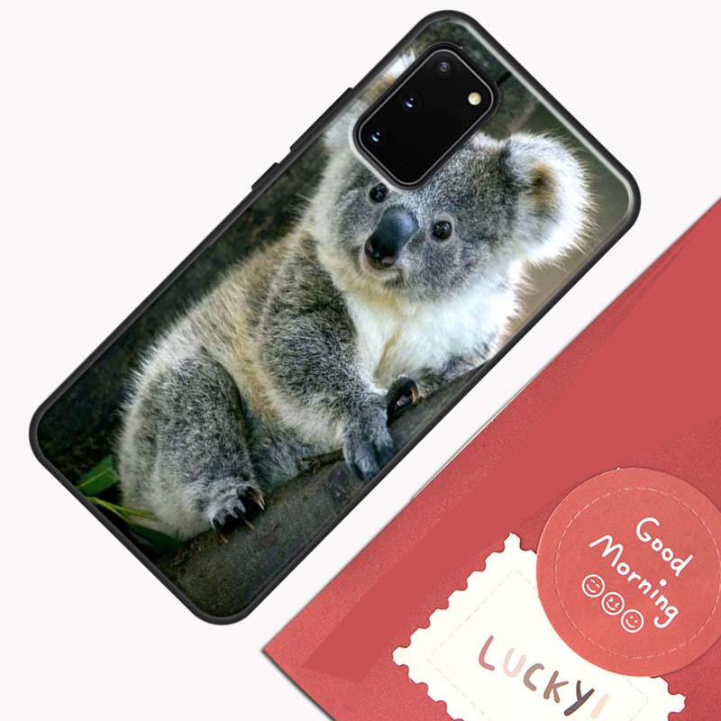 Australisches Koala Handyhülle Für Samsung Galaxy S26 S25 S24 S20 S21 S22 S23 Ultra S10 Plus S25 FE Hülle Schale