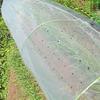 Transparent Perforated Film Garden Plant Flower Seed Protection Cover Breathable Greenhouse Weed Control Pre-Punched Hole Film
