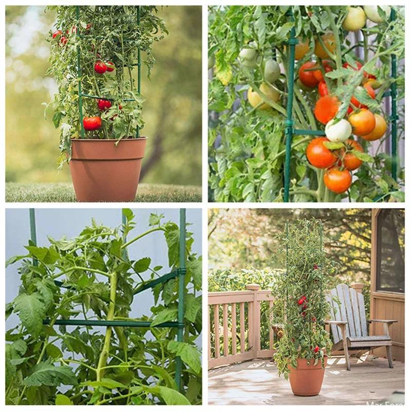 Plant Support Stakes Garden Vine Climbing Rack Pillar Plastic Coated Steel Pipe Greenhouse Bracket Connector Vegetables Planting
