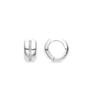 Luxenter Earrings with Brilliant Zirconia Silver Finish - Shapa