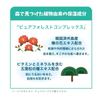[DiscountedDamaged Box - Set of 2] Forest Piton Moisture CICA Cream  Moisture Cream  CICA  Hyaluronic Acid  Moisturizing