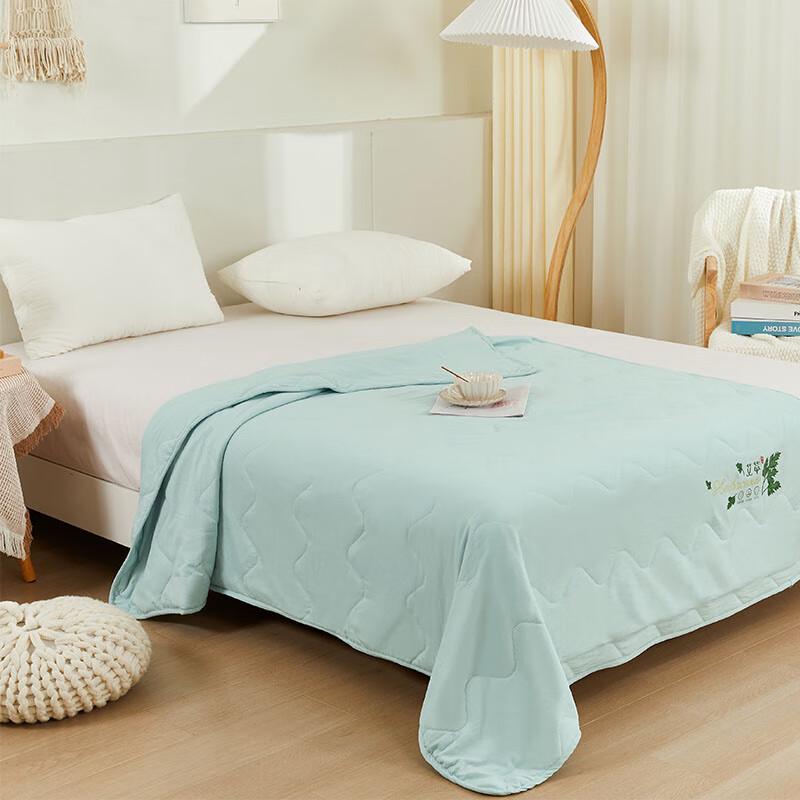 Shanshan Mugwort Healthy Summer Quilt