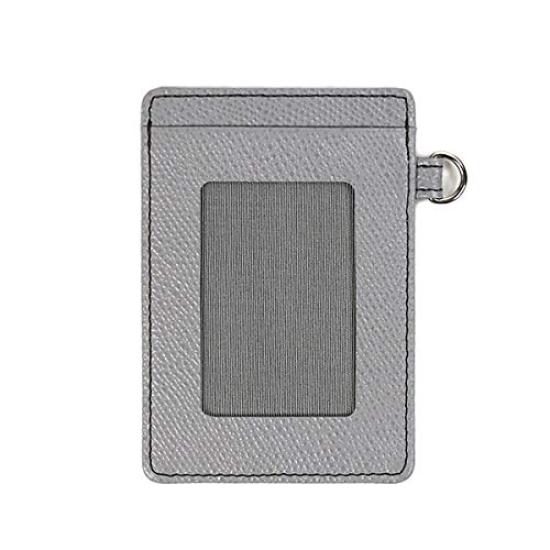 Color Chart Pass Case 06 Light Gray