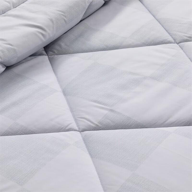 Mercury Home Textiles Fluffy Anti-bacterial Fiber Quilt