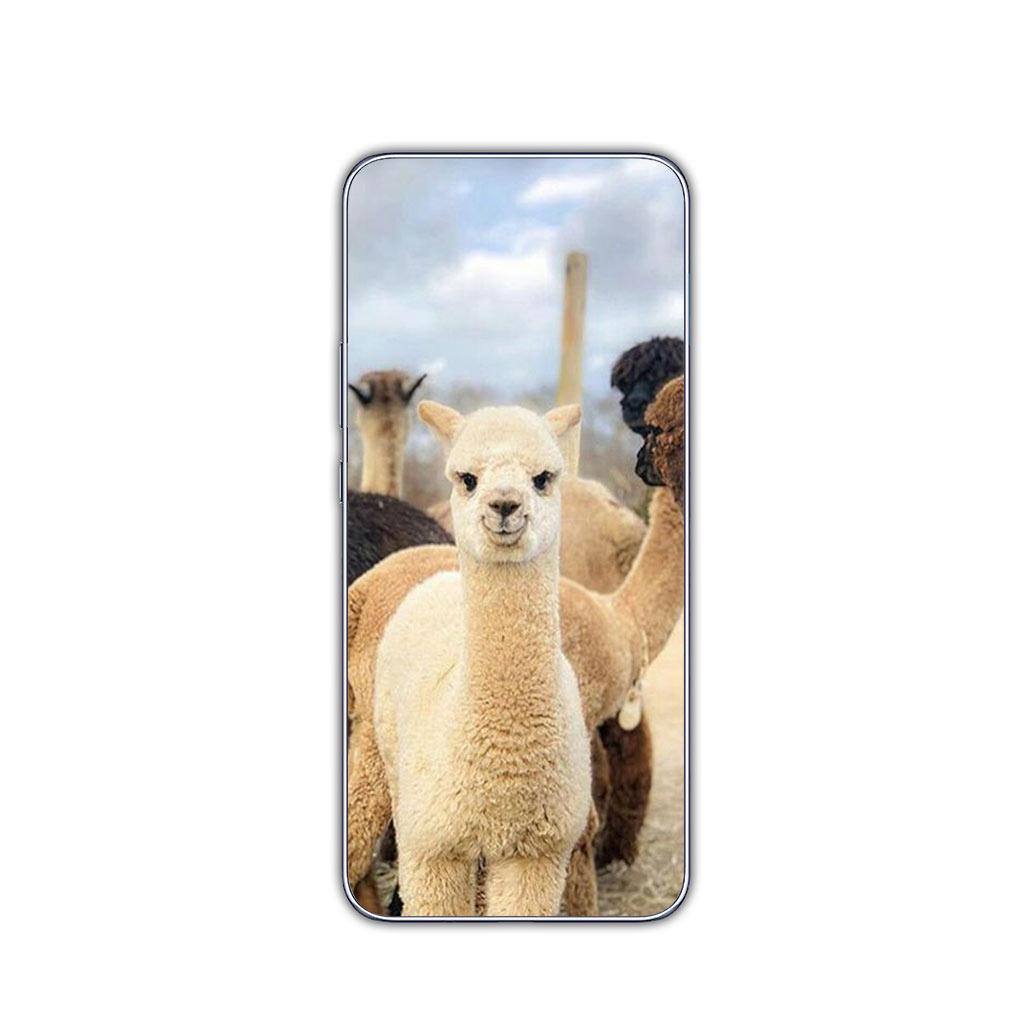 

Cute Lama Llama Alpacas Soft Casing for Motorola Moto Edge 40 50 Pro 30 neo 20 Ultra One Fusion E22 E40 E30 Phone Cover Case MotoEdge 50 Pro 5G