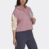 Adidas Originals Hoodie Sports Lifestyle Series Women Hoodies Pink HD9784