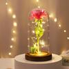 Eternal Rose Glass Lampshade: Christmas, Qixi, Valentine's Day Desktop Ornament & Night Light Gift.