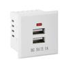 5V 2.1A Dual USB Power Socket Embedded Desktop Socket USB Charging Panel Module For Mobile Phones Tablets Ipad Chargers