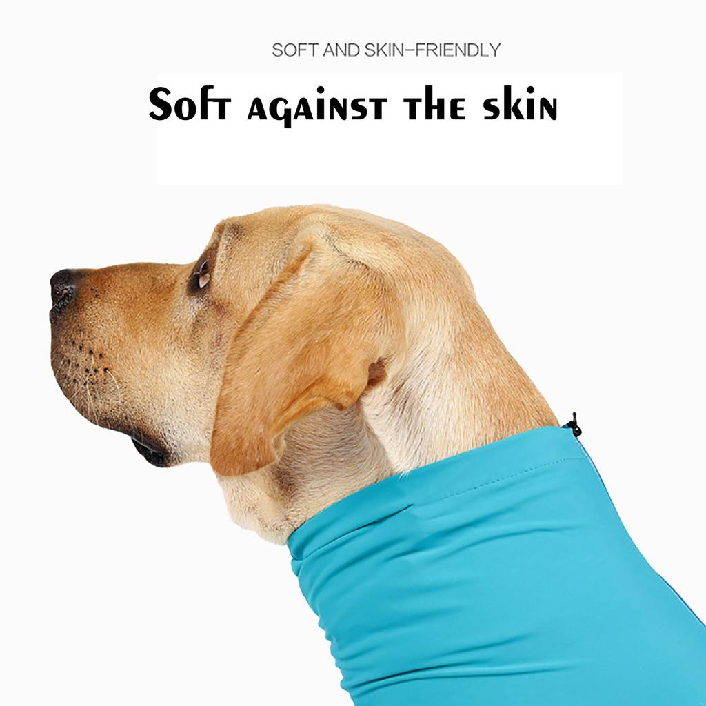 Vestiti per la Prevenzione della Perdita di Pelo del Cane a Quattro Zampe Avvolgenti Comfort Post-Operatorio Vestiti Elastici per Cani