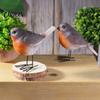Decorative Bird Figures for Plants 2Pcs Outdoor Garden Ornaments, Realistic Pastoral Figurine, Resin Ornaments Weatherproof Lifelike Animal Sculpture