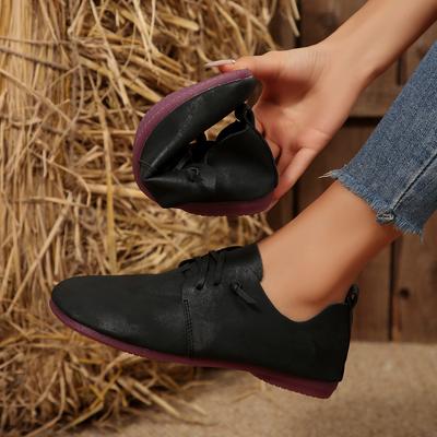Moda Novos Sapatos Rasteiros Femininos Moda Rasteirinhas de Bico Redondo Sapatos Solteiros Leves com Cadarço Sapatos Casuais para Exterior 2025 Novo
