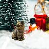Latest Small Cat Brass Metal Statue Ornament Animal Figurines Figurine House Decoration for home decoration suitable for bedroom