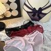 Mesh Lace Briefs Low Waist Bow Lace Panties Fashion Women Underwear  Lady