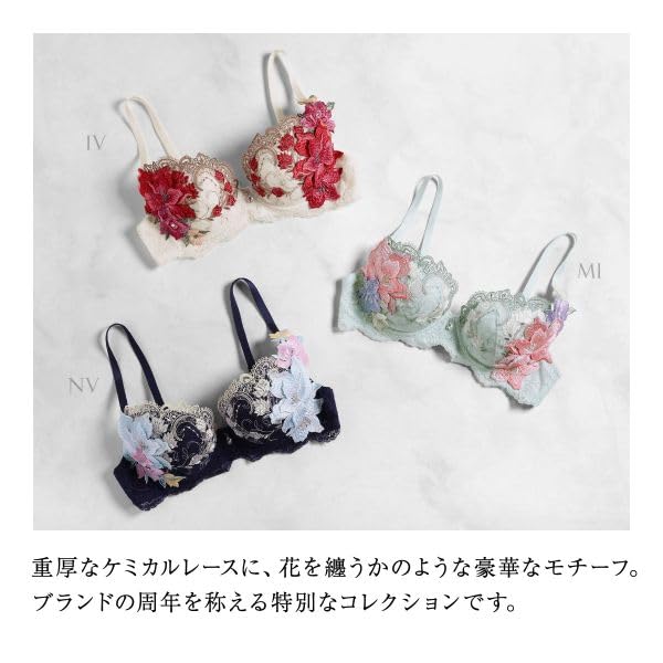 Himiko 031 Series Plus Underbust Lingerie Bra, Sizes, 80, B, C, D, E, F, (NV-Navy, C70)