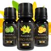 Essential Oils for Diffuser - Tropical | Exotic