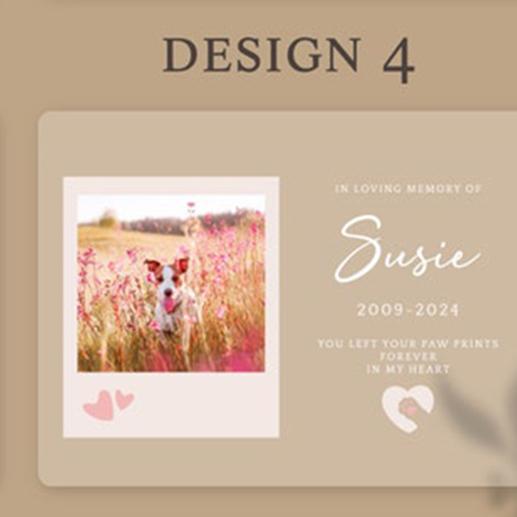 Personalized Pet Memorial Frame Custom Cat Dog Photo Light Pet Loss Sympathy Gift Engraved Plaque With Name Dates Sentimental