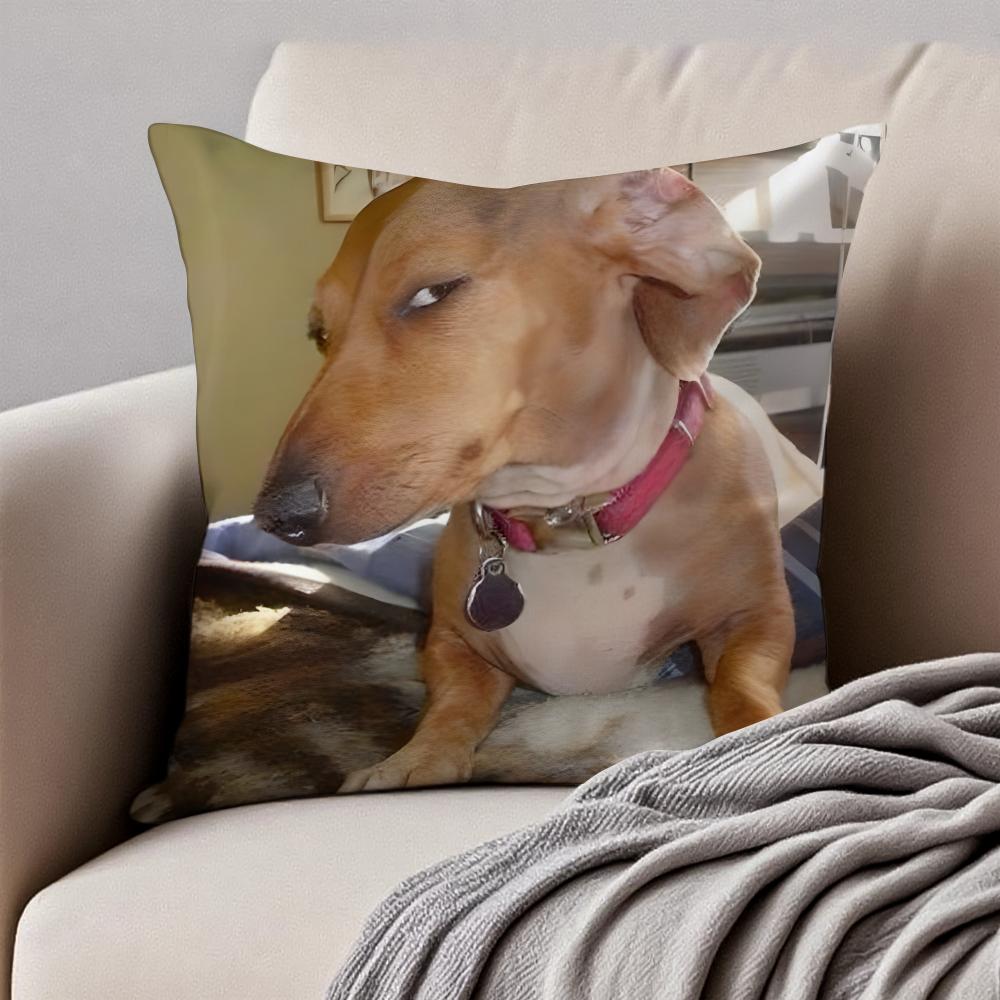 Abstract Cute Funny Pet Dog Meme Cushion Cover Pillowcase Antidustmite Invisible Zipper Short Plush Sofa Cushion